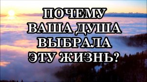 ПОЧЕМУ ВАША ДУША ВЫБРАЛА ЭТУ ЖИЗНЬ?