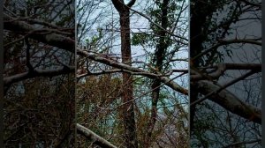 23 февраля.mp4