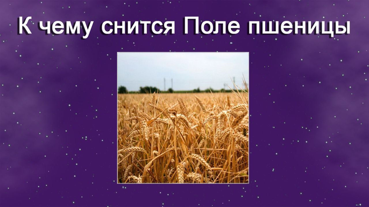 К чему снится Поле пшеницы - толкование сна смотреть онлайн