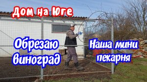 Дом на Юге.  Наша мини пекарня. Обрезаю виноград.