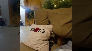 🎂С днем рождения меня!!!🎉🙂ресторан ,,НЭЦКЕ,, Пенза,21 февраля 2026❤️