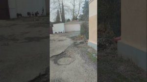 ПОМОГЛИ БАБУЛЕ/ПРАЗДНИК