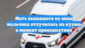 Мать выпавшего из окна мальчика отлучилась на кухню в момент происшествия