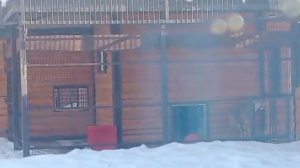 21022026г ИВАН У Киары [get.gt]