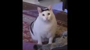 Звонарь из почты россии.