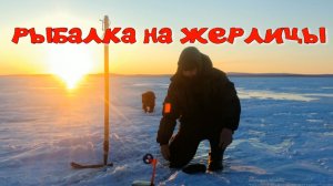 РЫБАЛКА НА ЖЕРЛИЦЫ озеро Шакша февраль 2026