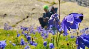 АЛТАЙ, перевал Крепкий, Часть 1. 135 км. Поход 8 дней