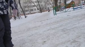 влог до гулливера