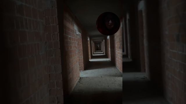 Обзор ЖК Феникс Рощино