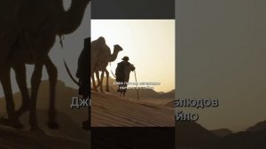 Краткий пересказ фильма НОВИНКА