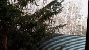 утро Прощёного воскресенья