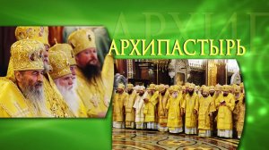 Архипастырь 23 февраля 2026 года