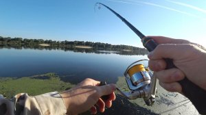 ЖЕРЕХИ ОБОЖАЮТ РАКОВ, А ЩУКА ВОБЛЕР