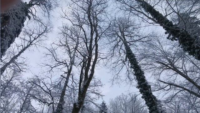 Каверзинские водопады.mp4