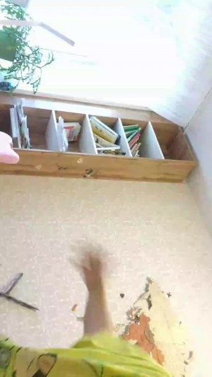 Возможно долгий влог с хорсом