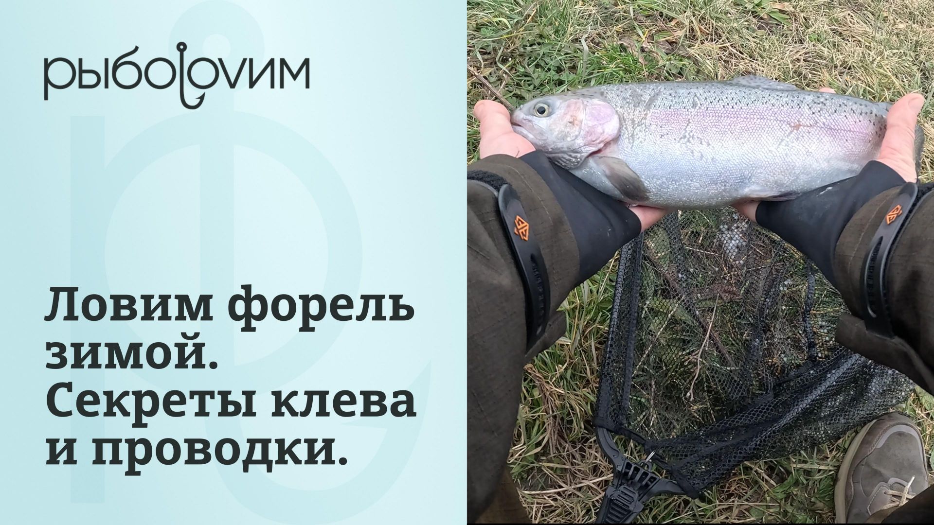 Ловля форели зимой на платнике. Форелевая рыбалка на спиннинг. Секреты насадок и бешеный клев. смотреть онлайн