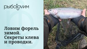 Ловля форели зимой на платнике. Форелевая рыбалка на спиннинг. Секреты насадок и бешеный клев.