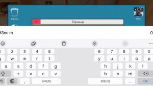 прохождение Schoolboyrunyway через ворота