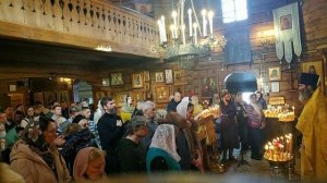 Проповедь на Литургии в Неделю сыропу́стную, воспоминание Адамова изгнания. 22.02.2026 г.