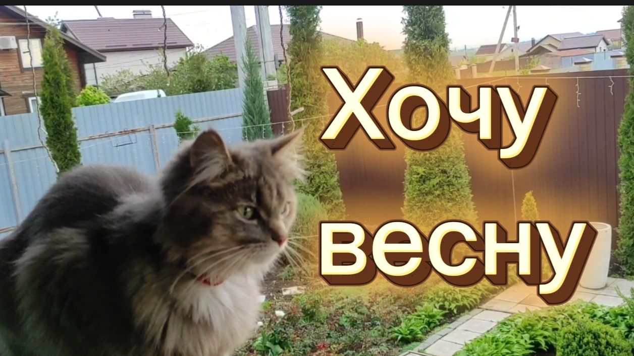 Хочу весну. Кадры из архива 💕 смотреть онлайн