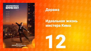 Идеальная жизнь мистера Кима 12 серия