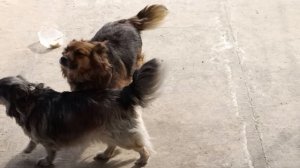 Мы ждём маму