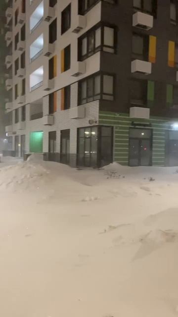 Снегопад в Москве