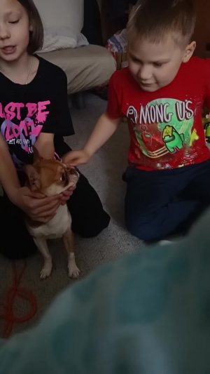 игрушки машинки