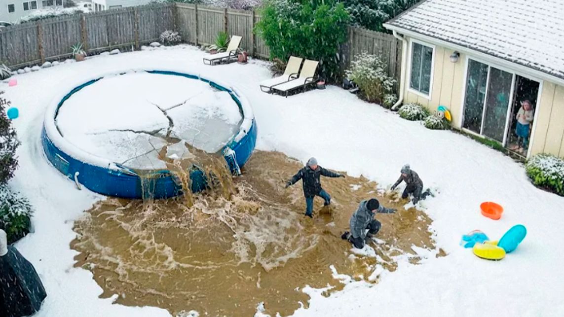 NEW! BRAIN TIME. 90 НЕВЕРОЯТНЫХ МОМЕНТОВ, СНЯТЫХ НА ЗАДНЕМ ДВОРЕ! смотреть онлайн