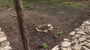 12 ноября 2023г.Мой дом.Спилили огромное дерево,Замазываю хату.