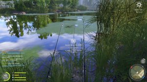 Русская рыбалка 4