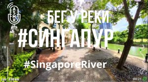 Видео для бега на беговой дорожке с окружающими звуками | Виртуальная пробежка #Singapore #River