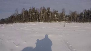 Кабанчики =)