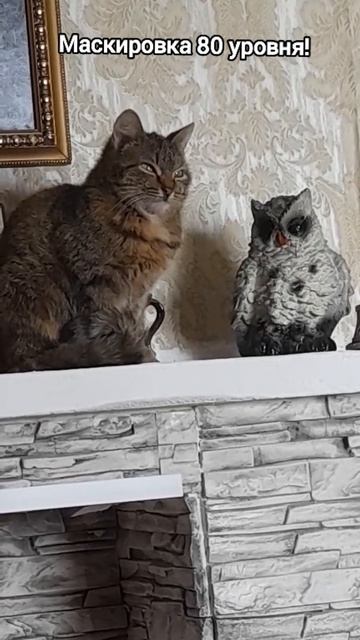 Маскировка 80 уровня!