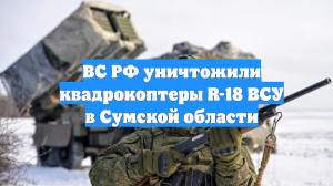 ВС РФ уничтожили квадрокоптеры R-18 ВСУ в Сумской области