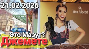 #Джемете - Вбросы!? Паника!? Мазута нет!? Зачем волонтеры зарывают - Сезон 2026