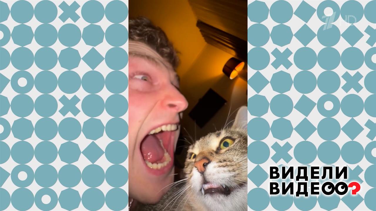 Чистосердечное признание. Видели видео? Фрагмент выпуска от 22.02.2026 смотреть онлайн