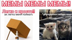 МЕМАСЫ! (Губка боб) (Лунтик) (масленица)