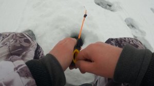 Рыбалка на озере детства. Поставил жерлицы. Моя Карелия.