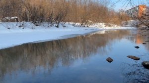 Река оживает