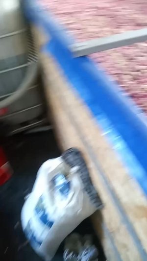 Вот что получилось с био загрузкой. Надеюсь. Вернее верю, что вода теперь должна быть намного чище.