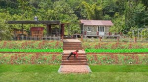 Выкладываю ступеньки и дорожки, ведущие к пруду. Выращиваю много овощей на корм. Серия 33. Ли Фук Ви