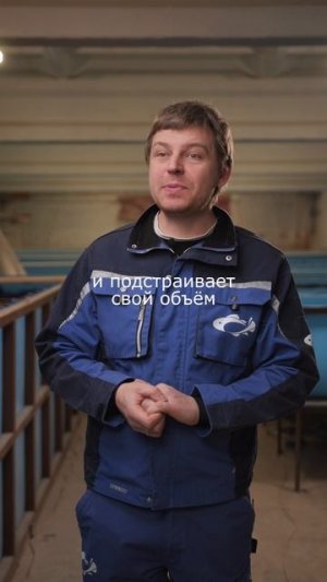 Рыба та же, доход разный. Всё решают продажи до старта. Ошибка новичков — думать о них после.