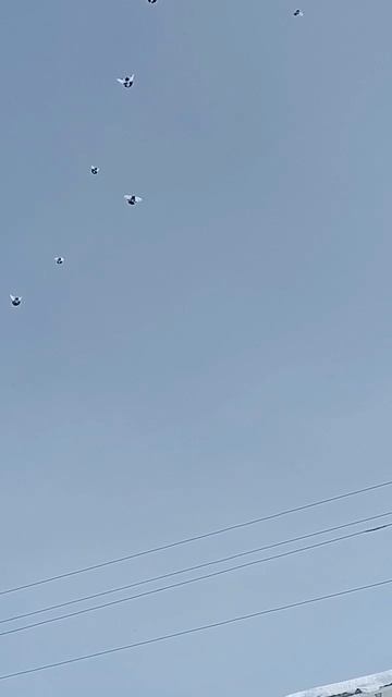 прощённое воскресенье