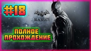 Batman: Arkham Origins-Blackgate (PC)-Планы на Бронзового Тигра и Неистовый Соломон Гранди #18.