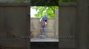 Краткий пересказ фильма НОВИНКА