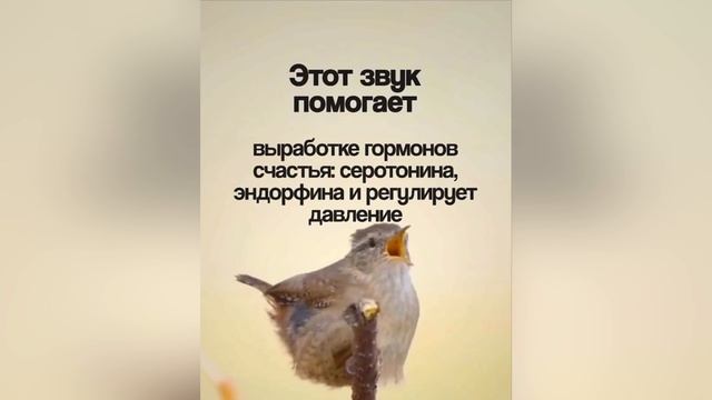 Частота 432 Гц. Отвлекись на 3 секунды что бы успокоить нервную систему смотреть онлайн