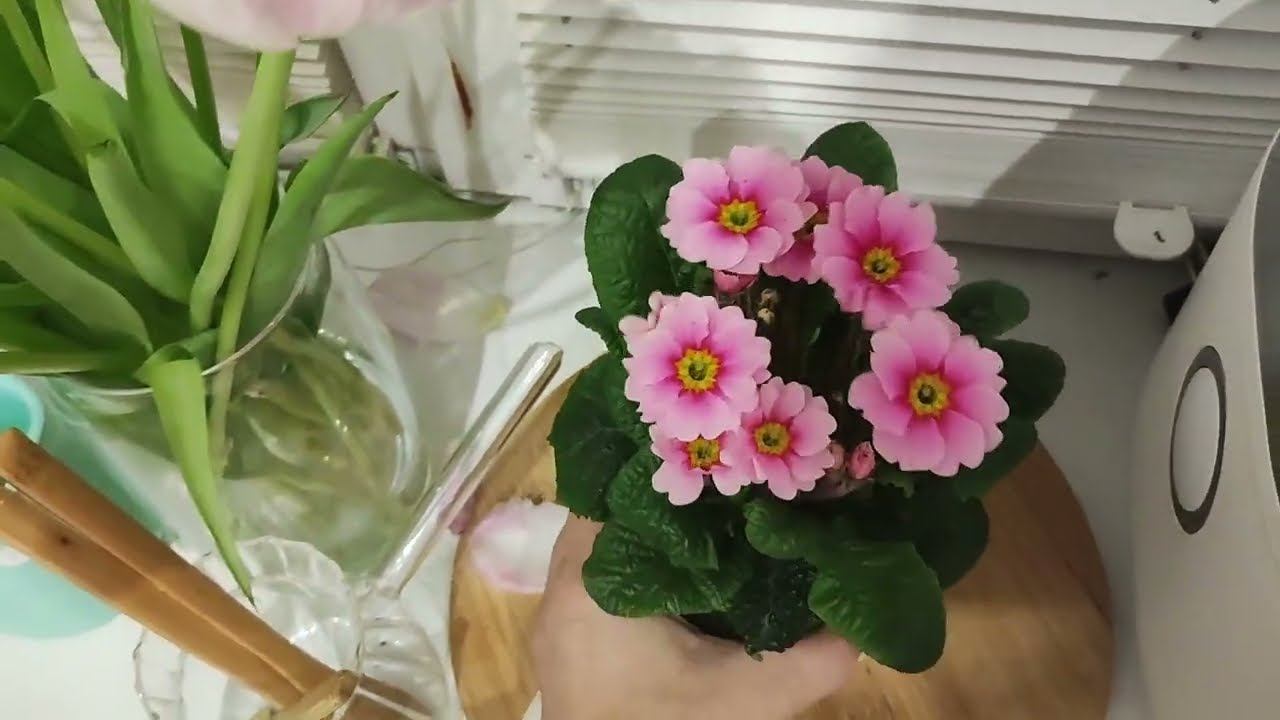 Уборка #563 отчёт 19 февраля вечер) смотреть онлайн