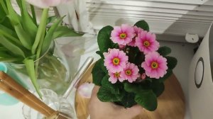 Уборка #563 отчёт 19 февраля вечер)