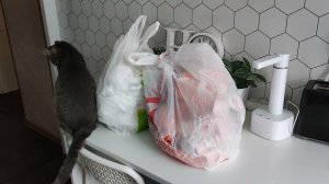 Уборка #562 отчёт 18 и день 19 февраля)